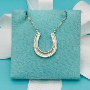 Tiffany & Co. SS Retired 1837 Horseshoe Necklace 18” EUC